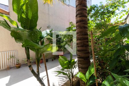 Casa à venda com 300m², 3 quartos e 2 vagasQuintal