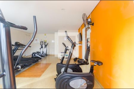 Apartamento para alugar com 72m², 3 quartos e 2 vagas Apartamento para alugar com 72m², 3 quartos e 2 vagasÁrea comum - Academia