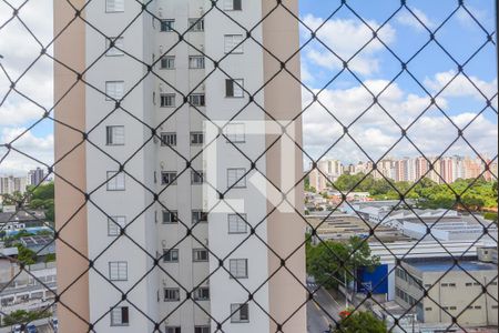 Vista do Quarto Suíte de apartamento para alugar com 3 quartos, 72m² em Taboão, São Bernardo do Campo