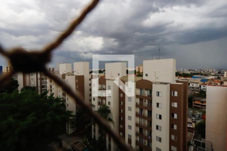 Vista da Sacada de apartamento para alugar com 2 quartos, 48m² em Vila Amélia, São Paulo