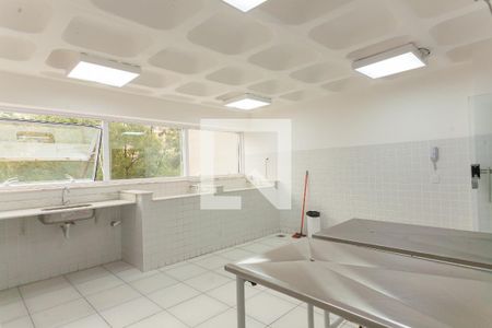 Apartamento para alugar com 56m², 1 quarto e 1 vagabanheo pet