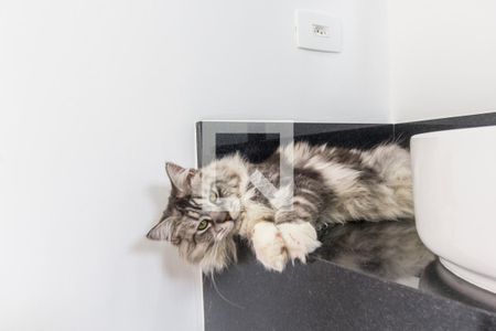 Casa de condomínio à venda com 554m², 4 quartos e 4 vagasDetalhe do Banheiro da Suite