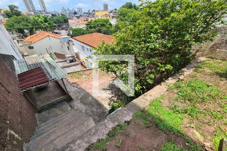Casa para alugar com 380m², 5 quartos e 4 vagasQuintal