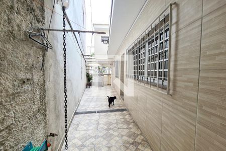 Casa para alugar com 380m², 5 quartos e 4 vagasQuintal