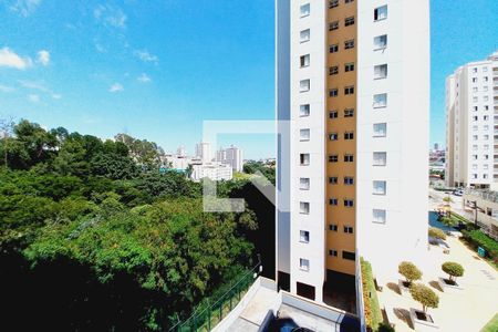 Vista do Quarto 1  de apartamento para alugar com 2 quartos, 60m² em Jardim Nova Europa, Campinas