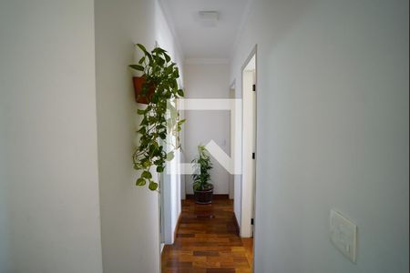 Corredor de apartamento à venda com 3 quartos, 70m² em Jardim Bonfiglioli, São Paulo