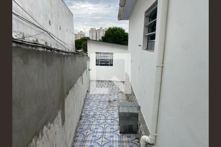 Casa principal - Quintal de casa à venda com 6 quartos, 585m² em Vila Mira, São Paulo
