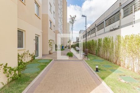 Apartamento para alugar com 33m², 2 quartos e sem vagaÁrea Verde