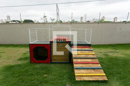 Apartamento para alugar com 33m², 1 quarto e sem vagaÁrea comum - Espaço Pet
