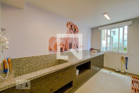 Apartamento para alugar com 33m², 1 quarto e sem vagaÁrea comum - Pet Care