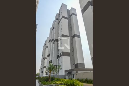 Apartamento para alugar com 50m², 2 quartos e 1 vagaBloco C