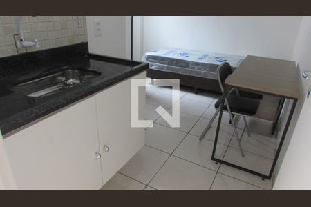 Studio de kitnet/studio para alugar com 1 quarto, 17m² em Jardim Bonfiglioli, São Paulo