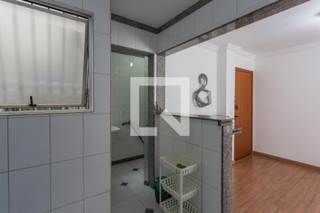 Cozinha de apartamento para alugar com 3 quartos, 110m² em Sagrada Família, Belo Horizonte