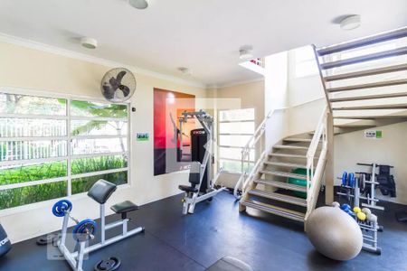 Academia de apartamento para alugar com 2 quartos, 73m² em Pompeia, São Paulo