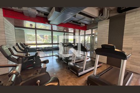 Apartamento para alugar com 19m², 1 quarto e sem vagaAcademia