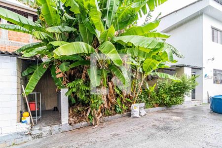 Casa à venda com 385m², 6 quartos e 8 vagasPátio - Jardim