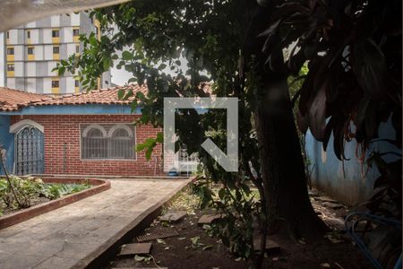 Casa à venda com 400m², 6 quartos e 3 vagasVista da Suíte Externa