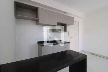 Apartamento para alugar com 38m², 1 quarto e 1 vagaCozinha