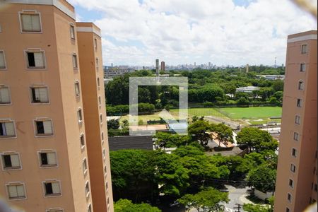 Vista da Sacada de apartamento para alugar com 3 quartos, 64m² em Vila Butantã, São Paulo