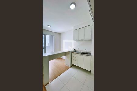Cozinha de apartamento para alugar com 1 quarto, 28m² em Vila das Bandeiras, Guarulhos