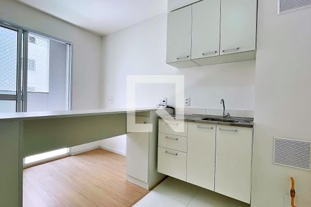 Cozinha de apartamento para alugar com 1 quarto, 28m² em Vila das Bandeiras, Guarulhos