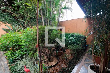 Casa para alugar com 420m², 5 quartos e 6 vagasÁrea externa