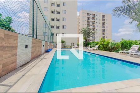 Apartamento para alugar com 50m², 2 quartos e 1 vaga Apartamento para alugar com 50m², 2 quartos e 1 vagaPiscina
