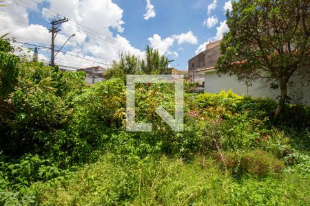 Casa à venda com 331m², 2 quartos e 2 vagasQuintal / Plantação 