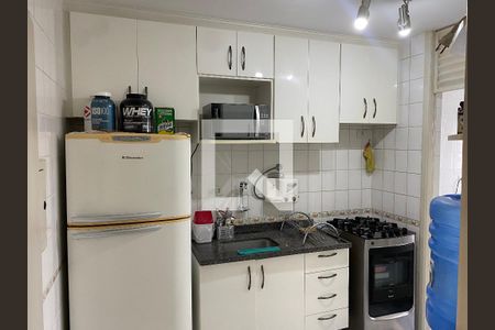 Cozinha de apartamento para alugar com 2 quartos, 55m² em Vila Santa Catarina, São Paulo