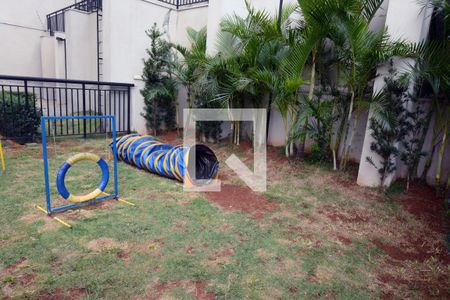 Apartamento para alugar com 35m², 2 quartos e sem vagaEspaço Pet