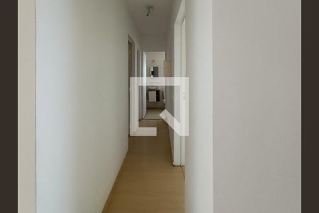Sala - Corredor de apartamento para alugar com 2 quartos, 53m² em Vila Ipojuca, São Paulo