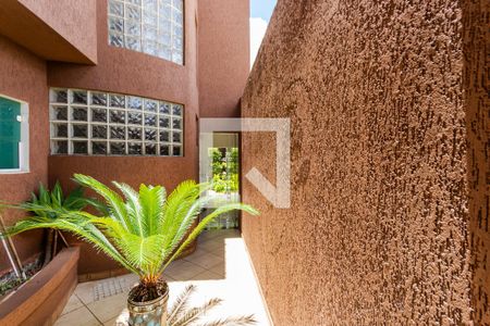 Quintal de casa para alugar com 3 quartos, 255m² em Vila Lucinda, Santo André
