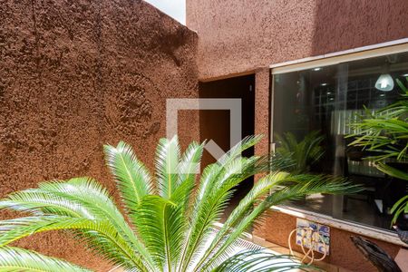 Casa para alugar com 255m², 3 quartos e 4 vagas Casa para alugar com 255m², 3 quartos e 4 vagasQuintal