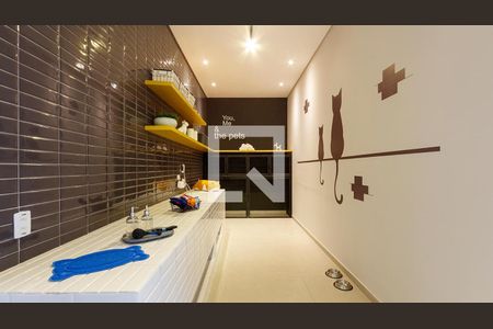 Apartamento para alugar com 35m², 1 quarto e sem vaga Apartamento para alugar com 35m², 1 quarto e sem vagaPet Care