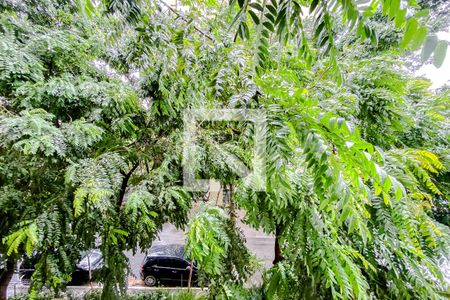 Apartamento à venda com 92m², 3 quartos e 2 vagasVista do Quarto 1