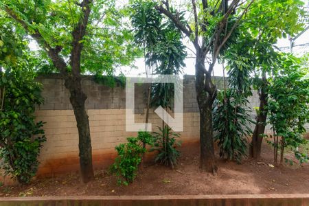 Vista do Quarto 1 de apartamento à venda com 2 quartos, 62m² em Vila Mimosa, Campinas