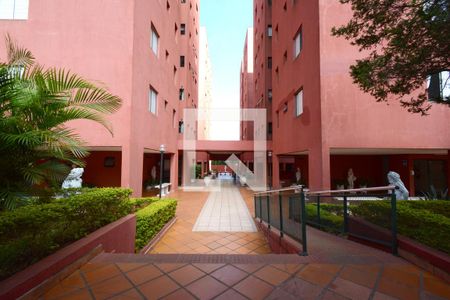 Área comum de apartamento para alugar com 2 quartos, 58m² em Cidade Ademar, São Paulo
