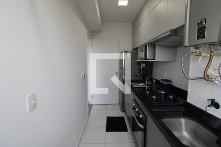 Cozinha de apartamento para alugar com 1 quarto, 27m² em Socorro, São Paulo
