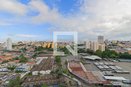 Vista de apartamento para alugar com 1 quarto, 24m² em Vila Nova das Belezas, São Paulo