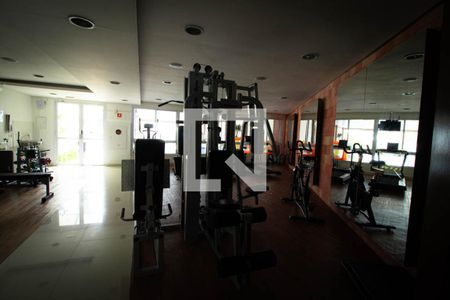 Apartamento à venda com 76m², 3 quartos e 1 vagaÁrea comum - Academia