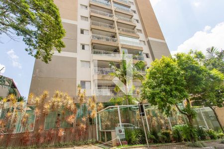 Apartamento para alugar com 75m², 3 quartos e 1 vaga Apartamento para alugar com 75m², 3 quartos e 1 vagaÁrea comum