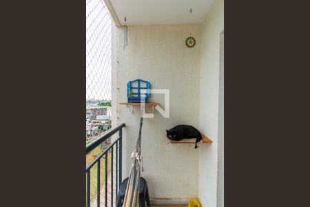 Varanda da Sala de apartamento à venda com 2 quartos, 51m² em Vila Antonieta, São Paulo