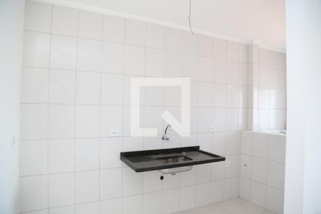 Cozinha de apartamento para alugar com 1 quarto, 44m² em Nova Mirim, Praia Grande