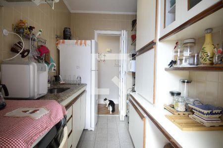 Apartamento à venda com 63m², 2 quartos e 1 vagaCozinha