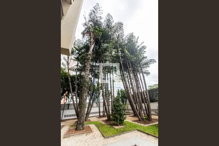 Apartamento à venda com 164m², 3 quartos e 2 vagasDetalhe