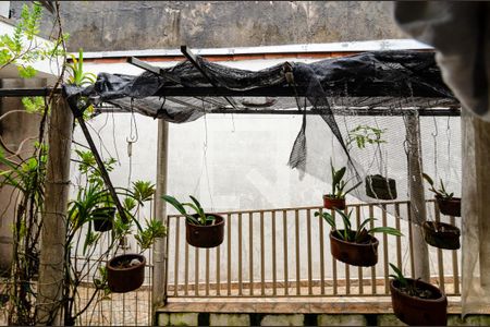 Casa à venda com 450m², 5 quartos e 3 vagasVista da Lavanderia