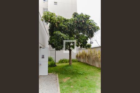 Apartamento para alugar com 47m², 2 quartos e 1 vaga Apartamento para alugar com 47m², 2 quartos e 1 vagaEspaço Pet