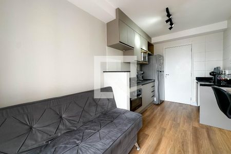 Sala de apartamento para alugar com 1 quarto, 30m² em Bom Retiro, São Paulo