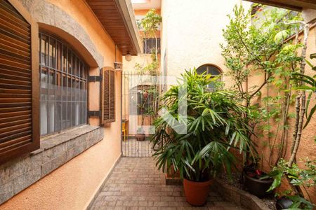 Casa à venda com 240m², 4 quartos e 4 vagas Casa à venda com 240m², 4 quartos e 4 vagasQuintal