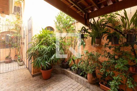 Casa à venda com 240m², 4 quartos e 4 vagas Casa à venda com 240m², 4 quartos e 4 vagasQuintal